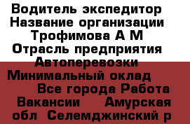 Водитель-экспедитор › Название организации ­ Трофимова А.М › Отрасль предприятия ­ Автоперевозки › Минимальный оклад ­ 65 000 - Все города Работа » Вакансии   . Амурская обл.,Селемджинский р-н